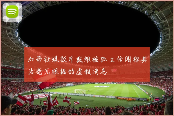 加蒂社媒驳斥戴维被孤立传闻称其为毫无根据的虚假消息