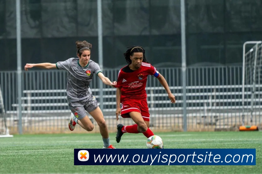 App Interface Preview